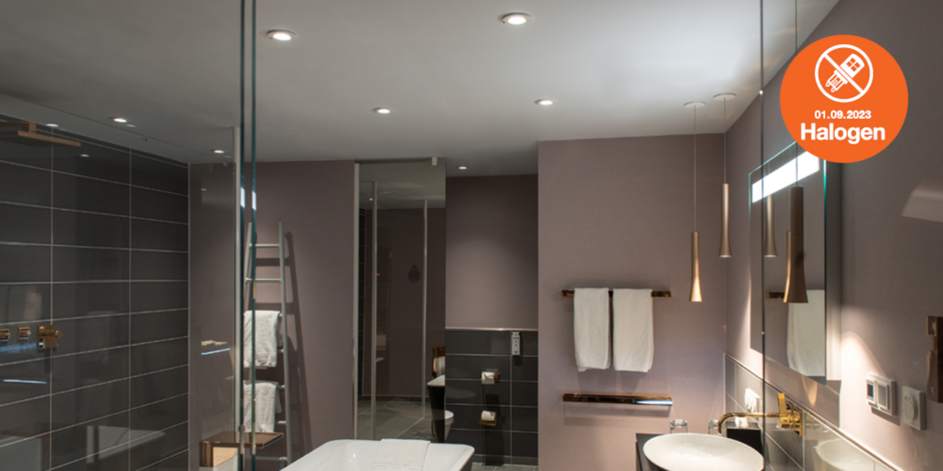 Lösungen zum Halogenlampen Verbot bei Elektro-Beck GmbH in Lichtentanne