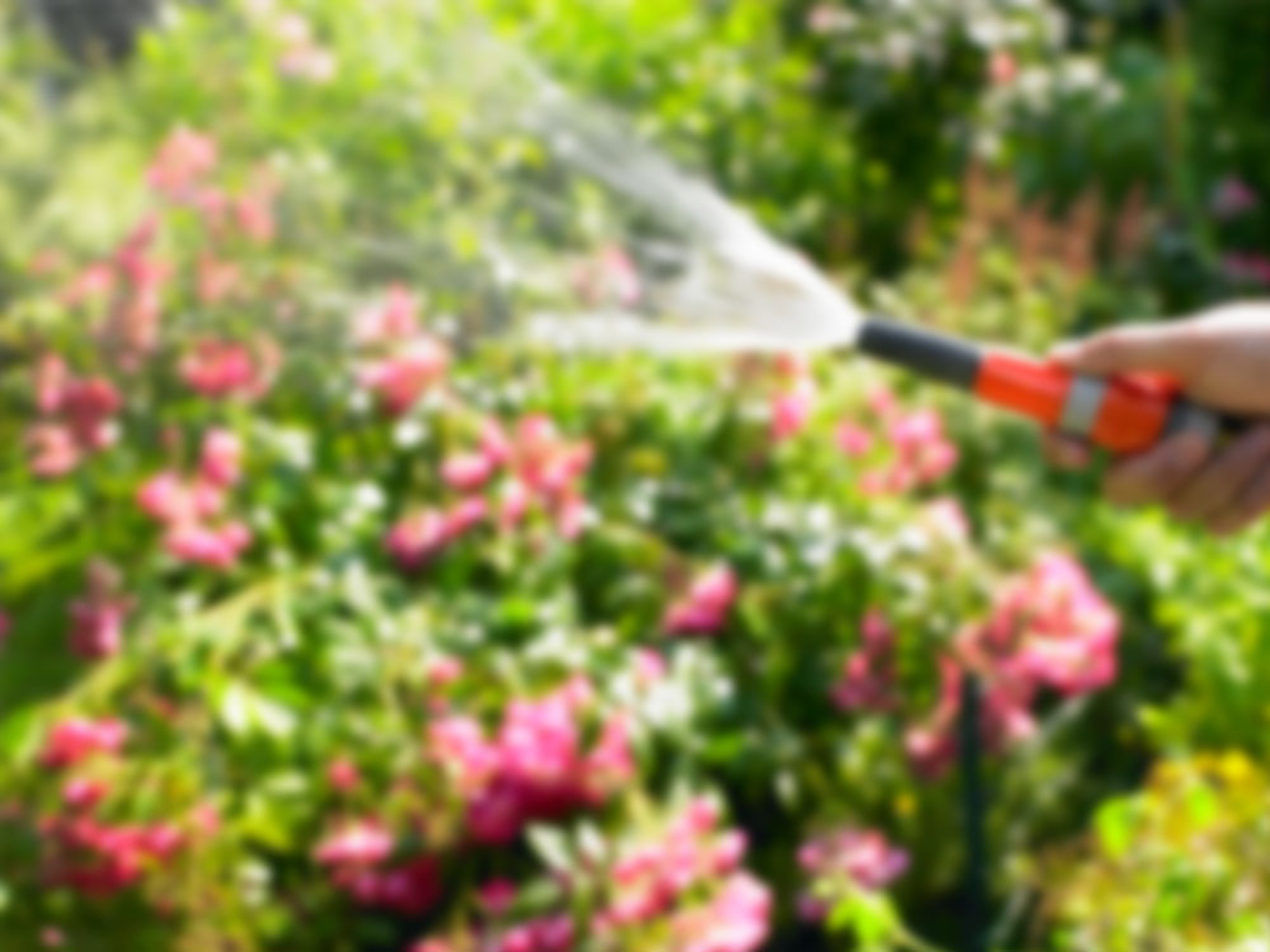 Regen&shy;wasser&shy;nutzung bei Elektro-Beck GmbH in Lichtentanne